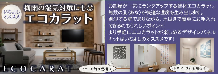 梅雨の湿気対策にも◎「エコカラット」