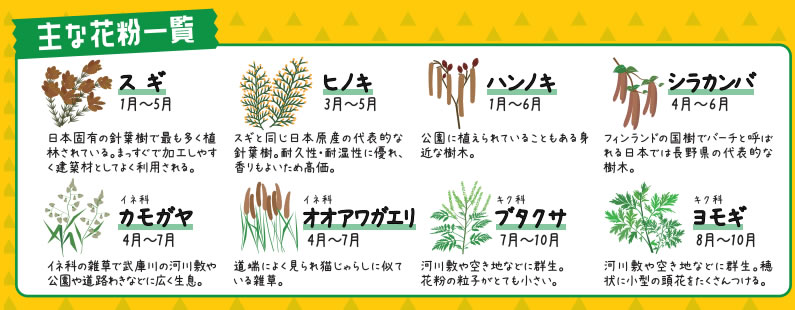 花粉症対策しませんか？！