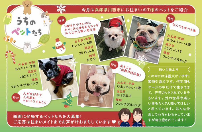 うちのペットたち