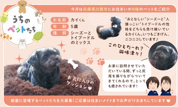 うちのペットたち