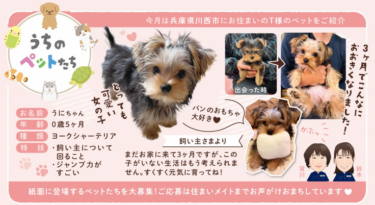 うちのペットたち