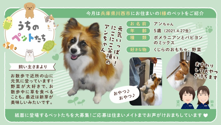 うちのペットたち