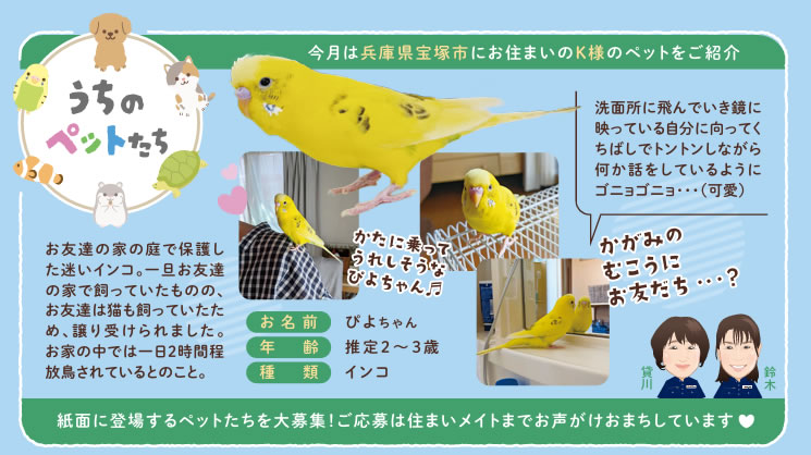 うちのペットたち