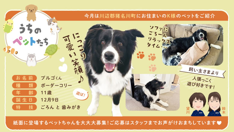 うちのペットたち