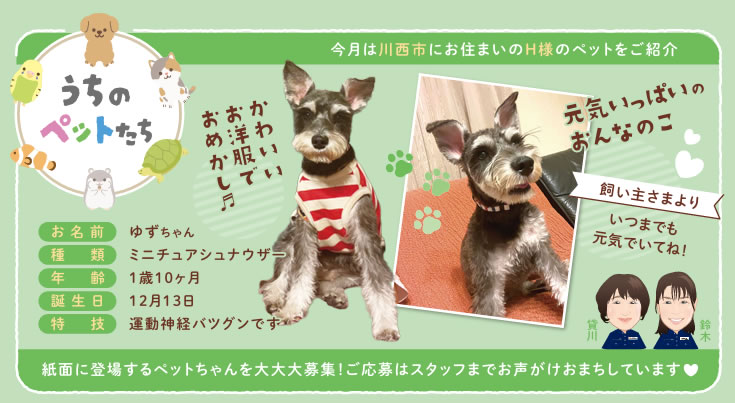 うちのペットたち