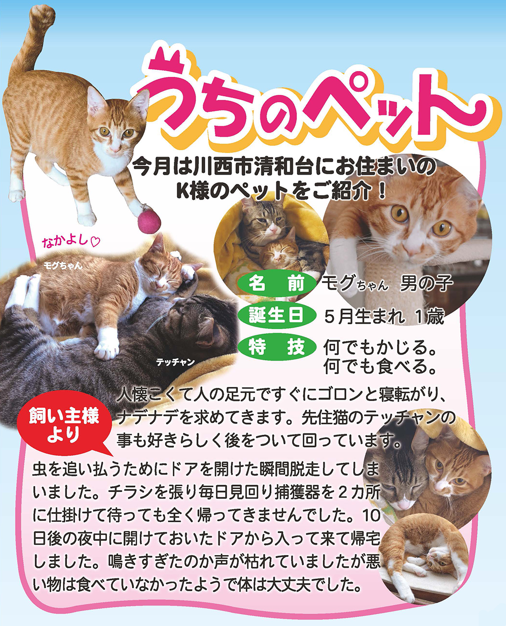 うちのペット一吉工業株式会社